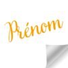 Sticker prénom personnalisé en vinyle découpé, police manuscrite