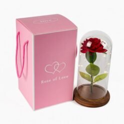 Coffret rose Rose of Love à poignées et rose rouge sous dôme en verre