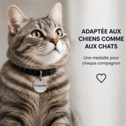 Chat tigré portant au collier une médaille ronde gravée Croquette