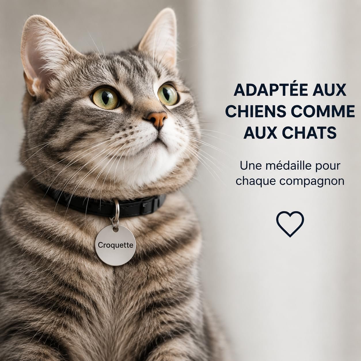 Chat tigré portant au collier une médaille ronde gravée Croquette