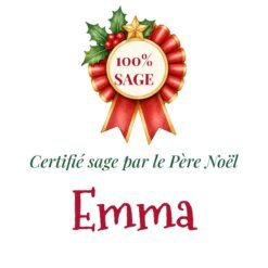 Mug Certifié sage par le Père Noël personnalisé prénom – design à plat