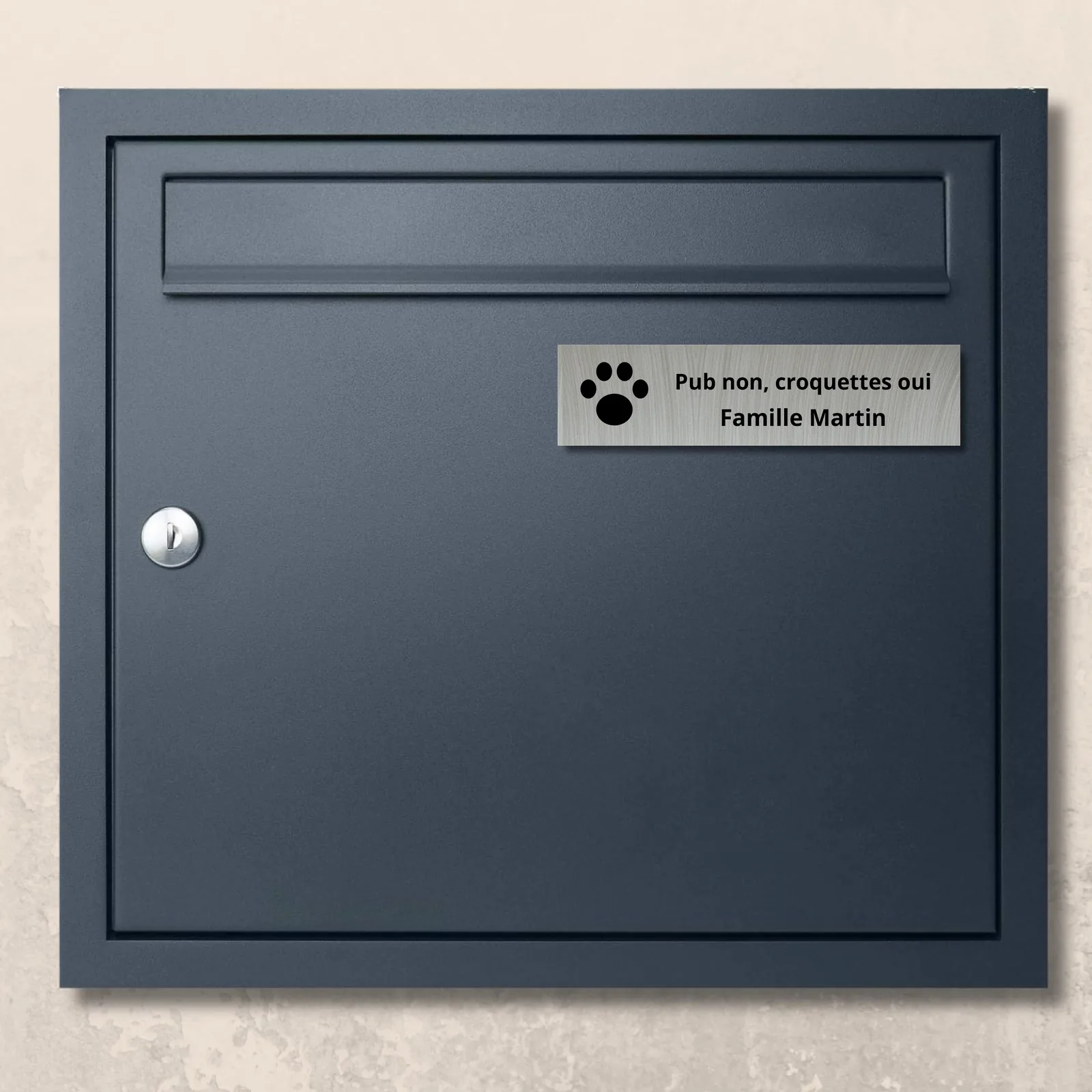 Plaque « Pub non, croquettes oui » argent brossé posée sur une boîte aux lettres anthracite