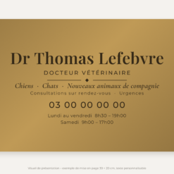 Plaque vétérinaire personnalisée en plexiglas or vieilli 30 × 20 cm, exemple au nom de Dr Thomas Lefebvre