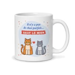 Tasse personnalisée chat, face arrière : chat roux et chat gris, « Il n’y a pas de chat parfait… sauf le mien »